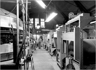 Archive photograph of the Charles Pugh premises, circa 1917